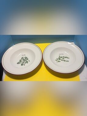 Cera Ceramica Cava France Herb Plates Set of 2 Parsley Rosemary 11"